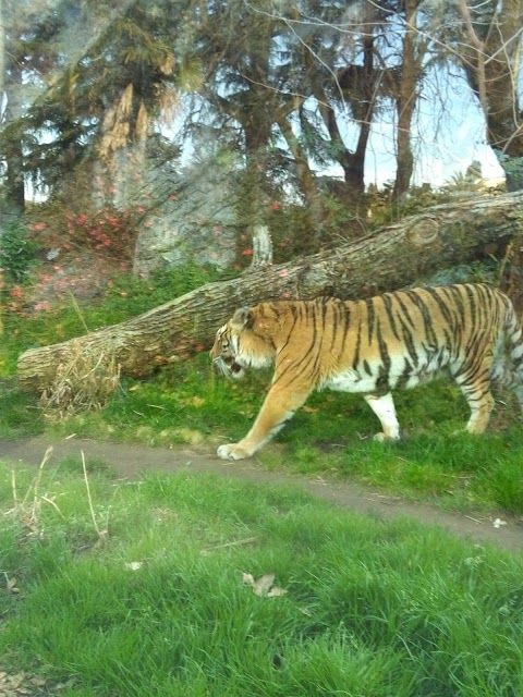 Parque Biológico de Roma